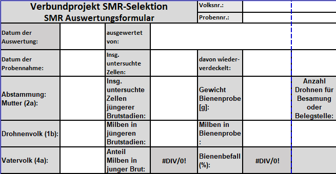 Tabellenkopf der Excel-Datei zur Auswertung SMR